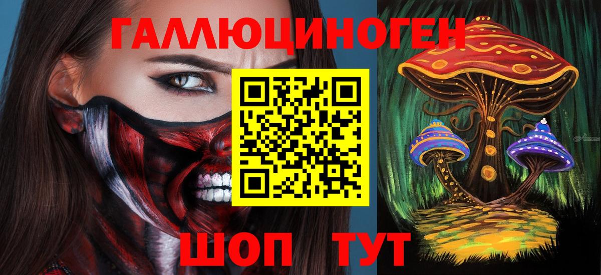 Дмитров  Псилоцибиновые грибы GOLDEN TEACHER  Вход с VPN  Галлюциногенные грибы ЛСД 